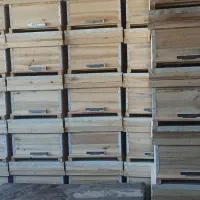 گندی زنبور عسل بدون قاب ۷۵۰۰۰۰