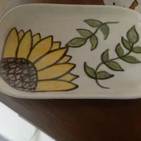 ماگ های سرامیکی|ظروف سرو و پذیرایی|محمدشهر, عباس آباد|دیوار