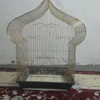 قفس عروس هلندی ، برزیلی ، مرغ عشق ، فنچ