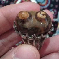 باباقوری دوکوهان
