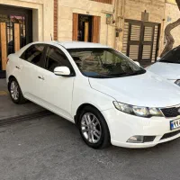 سراتو ۹۵ درجه ۱ سند تک برگ