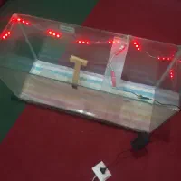آکواریم ماهی