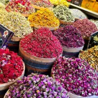 کار در منزل برای بانوان