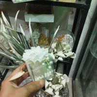 گیفت عروس  وشاخه نبات بامناسب ترین قیمت|صنایع دستی و سایر لوازم تزئینی|مشهد, طبرسی شمالی|دیوار
