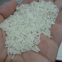 ۱۵ کیلوبرنج هاشمی اورگانیک