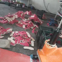 دعوت به همکاری کارگر ساده و نیمه ماهر آقا و خانم