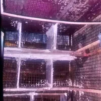قفس کفتر بزرگ|لوازم جانبی حیوانات|خاش, |دیوار