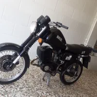 Mz251