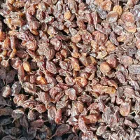 کشمش طبیعی|خوردنی و آشامیدنی|کامیاران, |دیوار