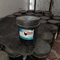 کود مرغ سطلی شیدور