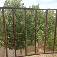 فروش باغ ویلا دوبلکس در ساوه|فروش دفتر صنعتی، کشاورزی، تجاری|تهران, پیروزی|دیوار