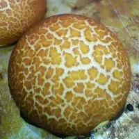 به یک شاطر نان فانتزی و دستیار نیازمندیم|استخدام خدمات فروشگاه و رستوران|تهران, فردوس|دیوار