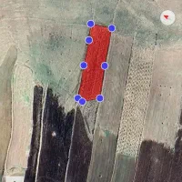 زمین مخصوص باغ بادام