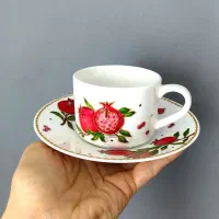 برگزاری دوره جامع اصولی ویترای اولین بار در استان