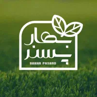 مسئول فنی