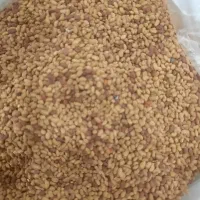 بذر یونجه|گل و گیاه طبیعی|ایلخچی, |دیوار