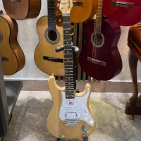 انواع گیتارهای الکتریک و کلاسیک