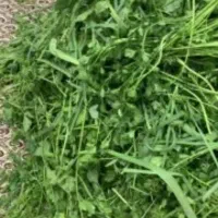 سبزی خورشتی تازه