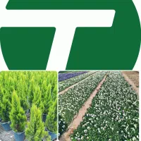 کلیه خدمات باغداری/باغچسازی حرفه ای«شرکت طلوع سبز»