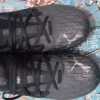 کفش پوما اورجینال