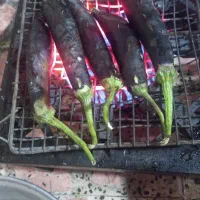 بادمجان کبابی|خوردنی و آشامیدنی|رشت, شهرک صبا|دیوار