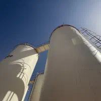 استخدام حسابدار