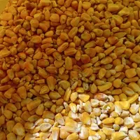 خوراک دام جمشیدی|حیوانات مزرعه|سیلاخور, |دیوار