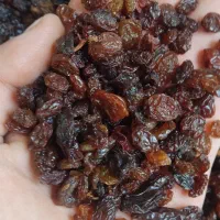 انواع کشمش آبگیری