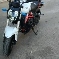 بنلی جفت ۳۰۰