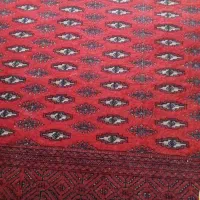 قالی دست بافت ترکمنی ۱۲ متری|فرش|گرگان, |دیوار
