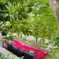 باغ ویلا لوکس دو خوابه صدرا|اجارهٔ کوتاه‌مدت ویلا و باغ|شیراز, شهرک ویلایی بهاران|دیوار