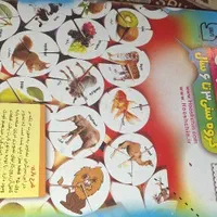 بازی فکری هوش چین|اسباب‌‌بازی|تهران, نیاوران|دیوار