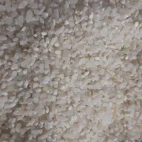برنج وخورده برنج کامفیروزی درجه یک|خوردنی و آشامیدنی|شیراز, کوشک میدان|دیوار