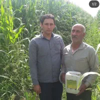 کود مایع ارگانیک محرک رشد باردهی بیشتر ساران کو|خدمات باغبانی و درختکاری|شیراز, چوگیاه‎|دیوار