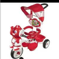 دوتاموجودرنگ ابی وسرخابی