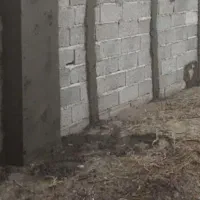 باسلام سیمانکارم|خدمات پیشه و مهارت|اردبیل, |دیوار