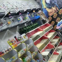 خوراک و انواع ملزومات پرندگان فلامینگو