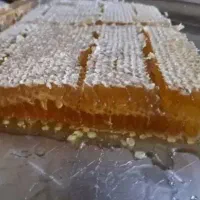 عسل بهاره پاوه۱۰۰خالص