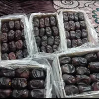مغازه برای اجاره خرما