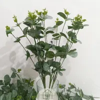 باغ و ویلا و منازل و کافه و آتلیه زیبا داشته باشید