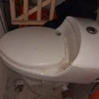 توالت فرنگی