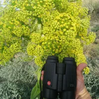 دوربین شکاری لایکا 42*10 آک آک بدون نقطه|کوهنوردی و کمپینگ|شیراز, بازار|دیوار