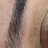 میکروبلیدینگ|خدمات آرایشگری و زیبایی|تربت‌حیدریه, باغ سلطانی|دیوار