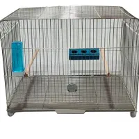 طوطی عروس نر سخنگو با قفس|پرنده|رشت, یخسازی|دیوار