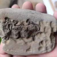 یک عدد شهاب سنگ ویژه