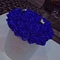 گل مصنوعی (ربانی)|گل مصنوعی|پردیس, فاز ۲|دیوار