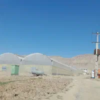 فروش گلخانه برجاده اصلی اسلام آباد پلدختر|فروش دفتر صنعتی، کشاورزی، تجاری|حمیل, |دیوار