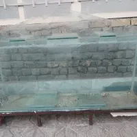 آکواریوم تاج دار و بخاری اکواریوم|ماهی|تربتحیدریه, یحیی آباد|دیوار