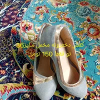 کوله و کفش|کیف، کفش، کمربند|مشهد, کوی دروی|دیوار