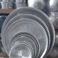 سینی روحی